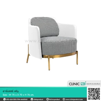 อาร์มแชร์ Ally