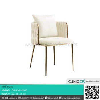 เก้าอี้ Dante